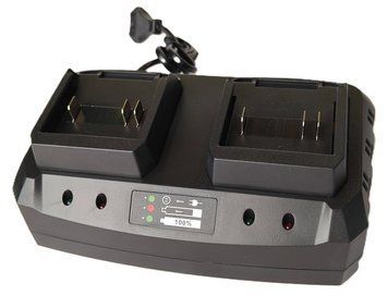 Зарядное устройство FGT CH202 Dual
